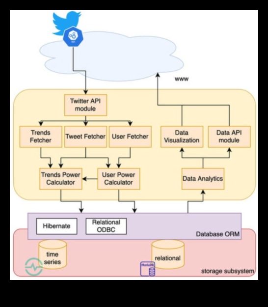 Explorând lumea analizei datelor rețelelor sociale