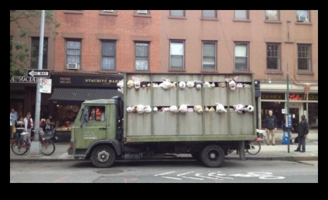 Arta transportului: frumusețea estetică în lumea camioanelor