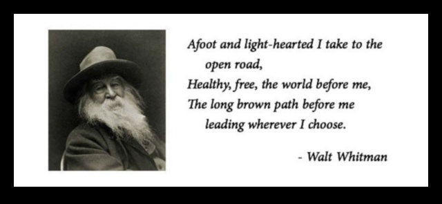 Roaring Roadsters: mașini sport și alura croazierelor în aer liber