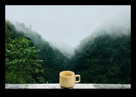 Tea Time Bliss: Descoperă eleganța liniștitoare a infuziilor asiatice