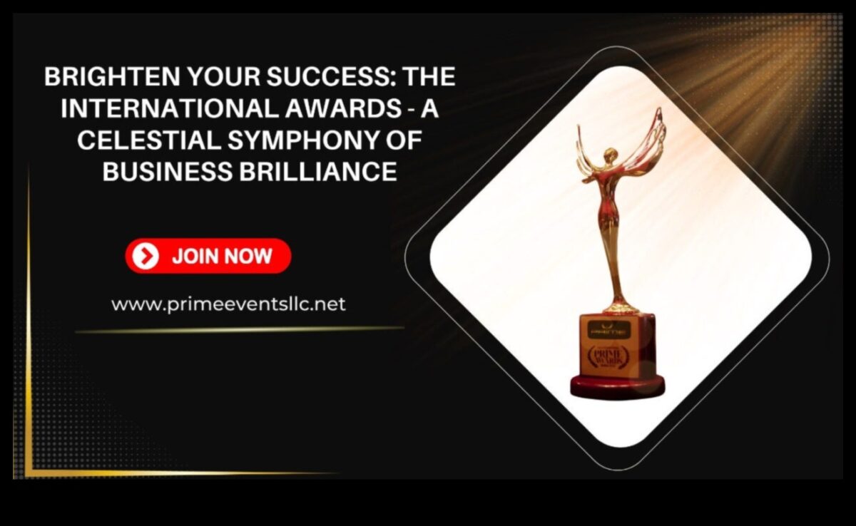 Simfonia portofoliului: armonizarea viziunii artistice și a impactului profesional